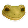 Mr Frog head